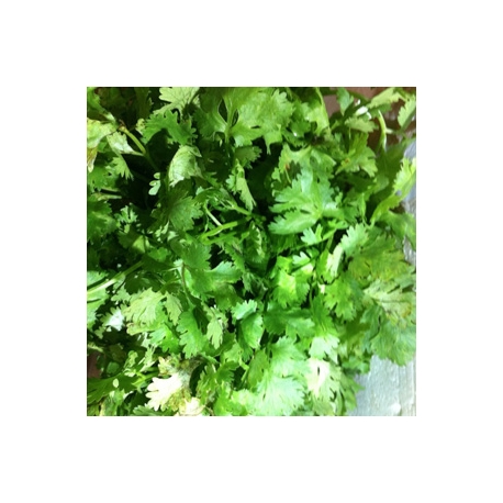 Coriander Leaves Malli 100g