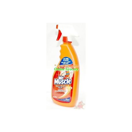 Mr Muscle Mold & Millow Killer 500ml