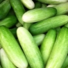 Thai Cucumber 1Kg