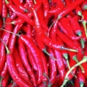 Big Red Chilli 200g