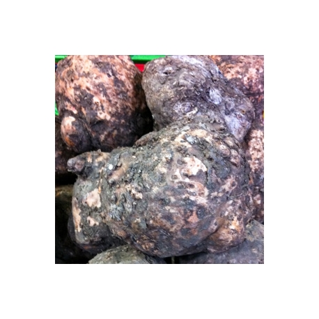 Indian Suran Big Yam 500g