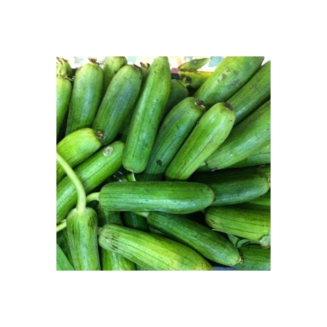 Indian Turia Sweet Gourd 500g