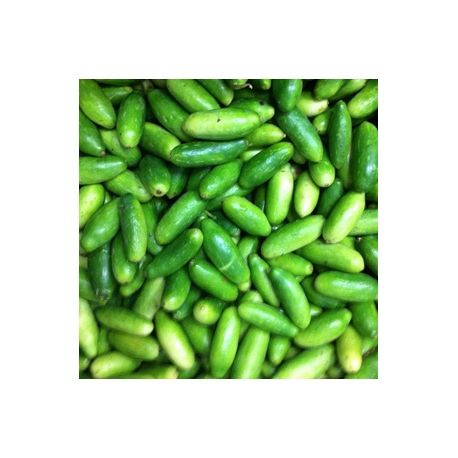 Indian Kundru 500g