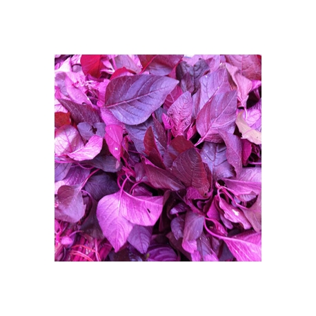 Local Purple Spinach 500g