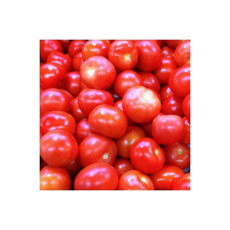 Tomato 1kg